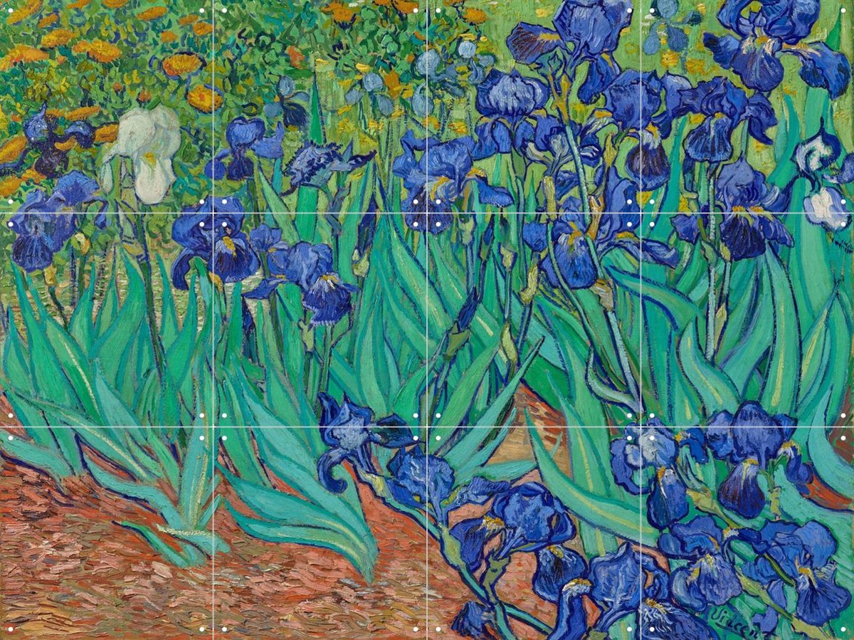 IXXI Irissen, Vincent van Gogh (1853 - 1890) - 80 x 60 cm - Gratis ophangtool - Grote wanddecoratie en posters Bloemen, Botanisch