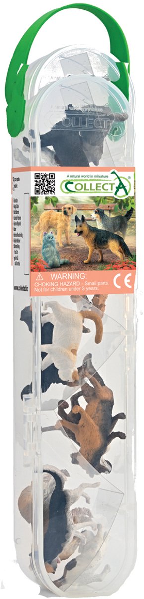 COLLECTA Figurine Mini Set - 12 Huisdieren - Huisdieren - Handgeschilderd - Miniatuur