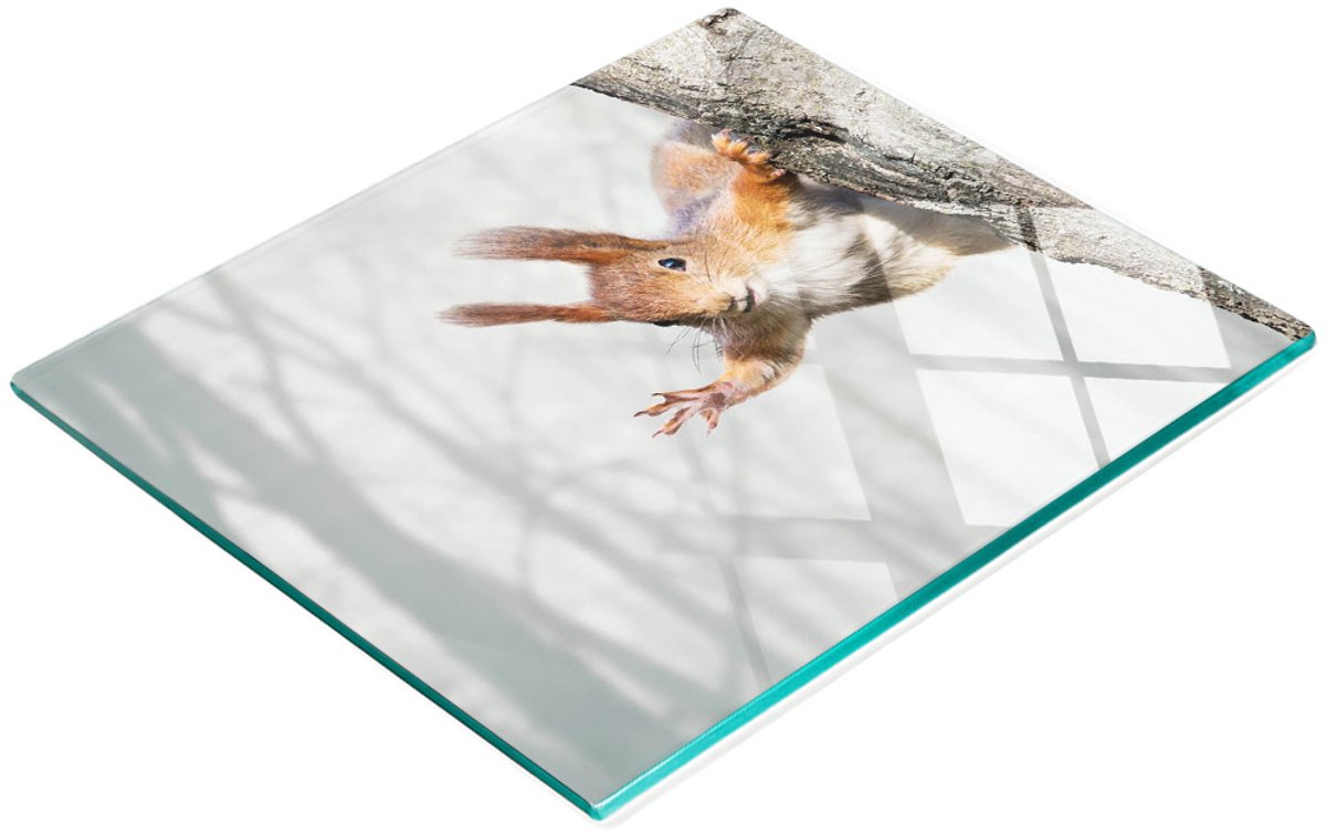 Decoratieve glazen snijplank met eekhoornafbeelding, 60x52 cm