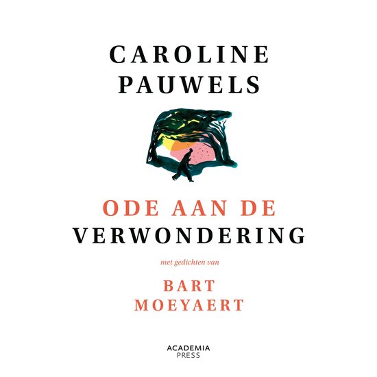 Ode aan de verwondering - cover