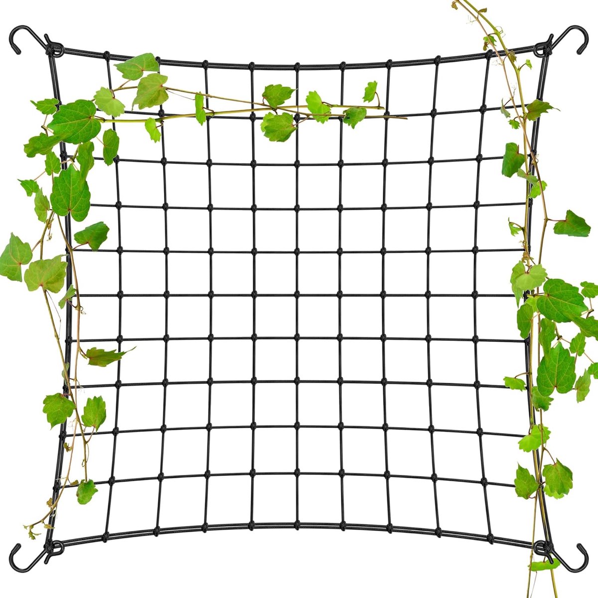 longziming - Klimplant Net - Trellis Net - 150×150cm - Elastische Ondersteuning voor Klimplanten - Duurzame Elastische Stof - Herbruikbaar en Ruimtebesparend - 1 Pack - zwart - voor planten en bloemen