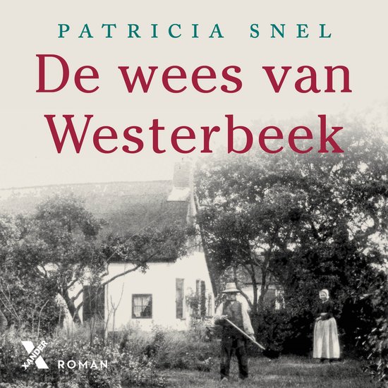 De wees van Westerbeek - cover