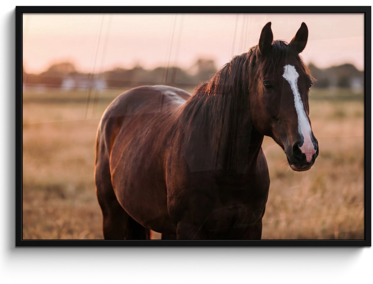 FrameYourWall Poster in lijst - Fotolijst 120x80 cm - Posters - Paard - Zonsondergang - Bruin - Posterlijst zwart - Decoratie - Wanddecoratie woonkamer - Muurdecoratie slaapkamer Multicolor