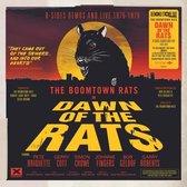 Albumhoes met een illustratie van een boze rat met scherpe tanden, op de voorgrond van een stad met een ondergaande zon. Titel: "The Boomtown Rats in Dawn of the Rats".
