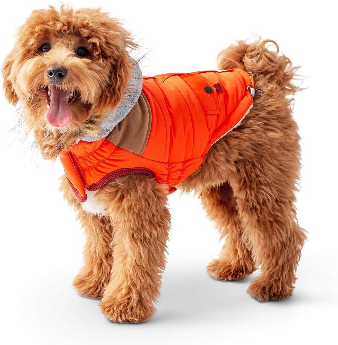 Warme Hondenjas Parka XL Oranje met Fleece Capuchon en Elastische Pasvorm