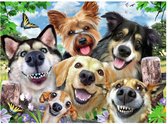 Ravensburger puzzel Vrolijke honden - Puzzel - 500 stukjes - Vanaf 10 jaar