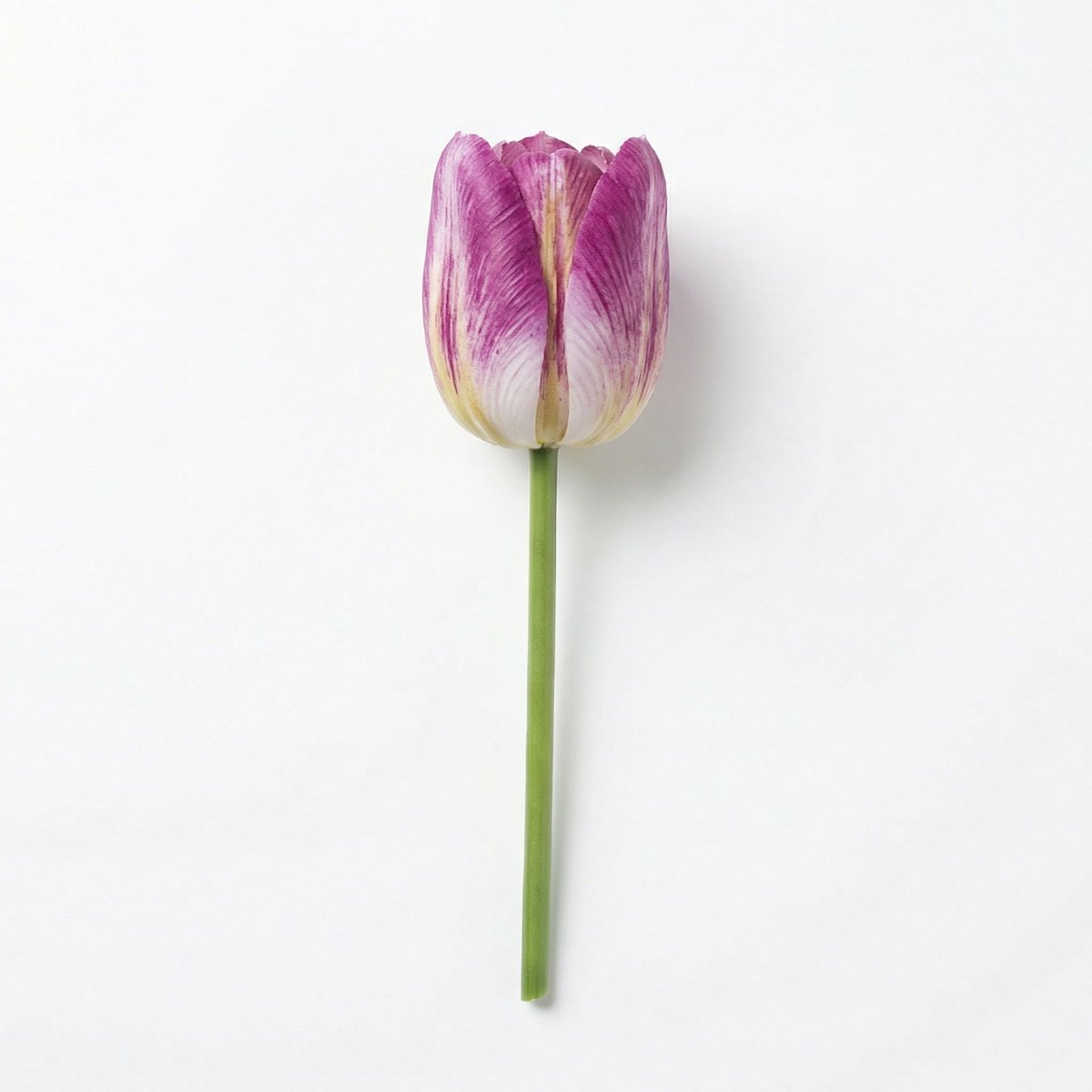Florafy Kunstbloem Tulp - Kunstbloemen voor binnen - Onderhoudsvrij
