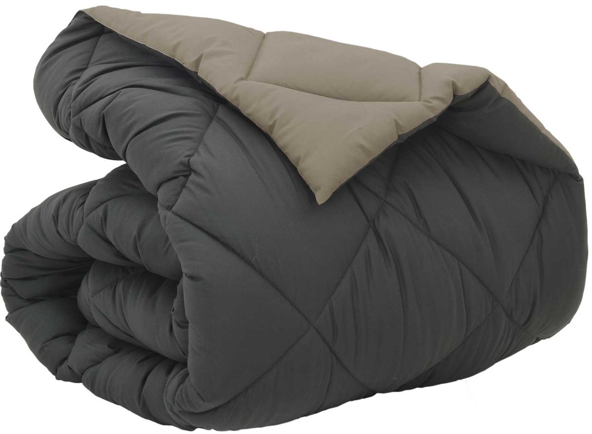 vidaXL - Winter - Duvet - Lichtgrijs - en - Antraciet - 155 - x - 220 - cm - Microvezel