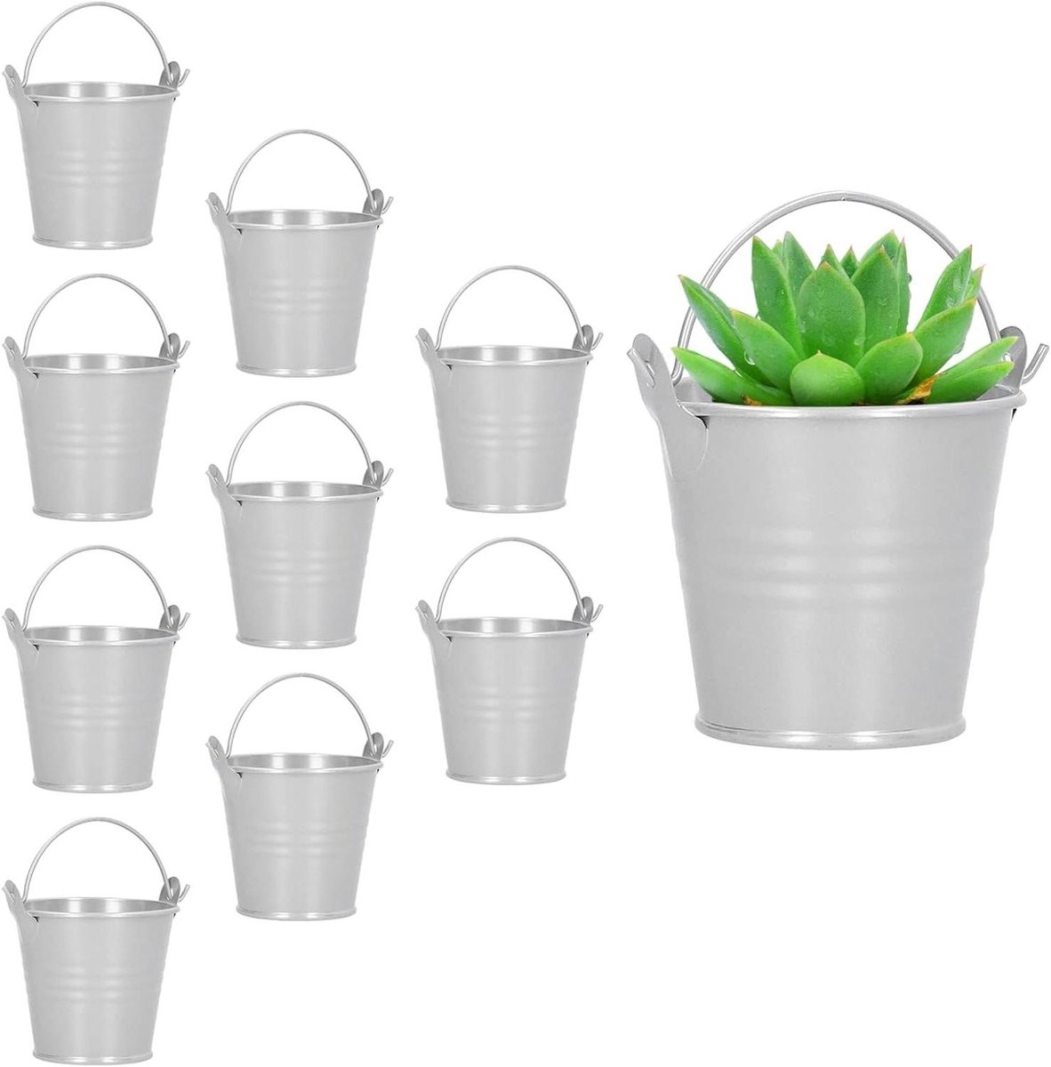 Mini emmer set van 10 stuks voor decoratie in tuin, balkon en feest.