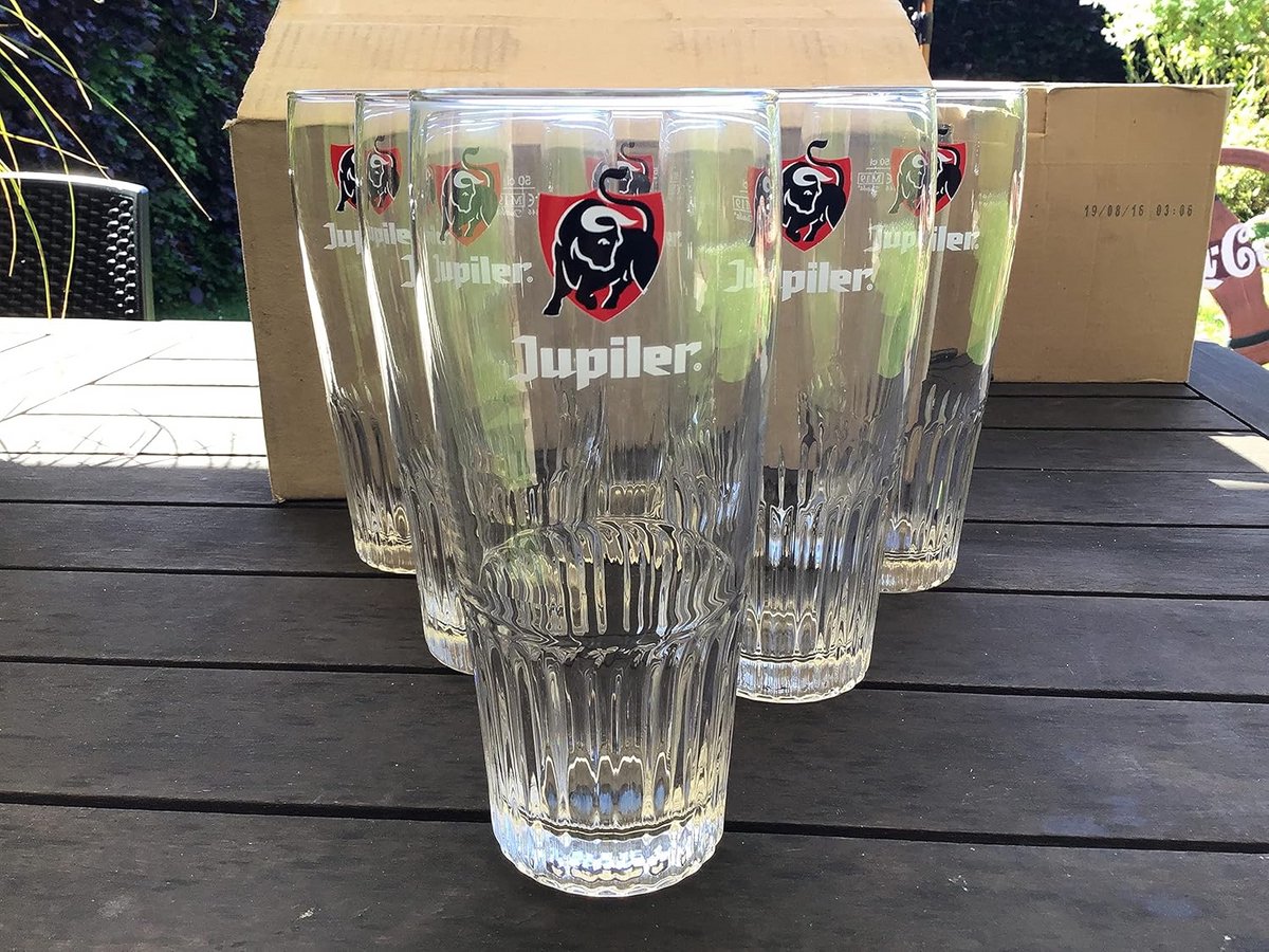Set van 6 Bierglazen 50 cl voor Pils