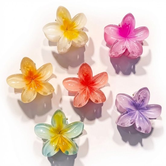 Set de pinces à cheveux fleur multicolore – 6 pièces – femmes – pince à cheveux en forme de fleur en plastique transparent – accessoires capillaires colorés