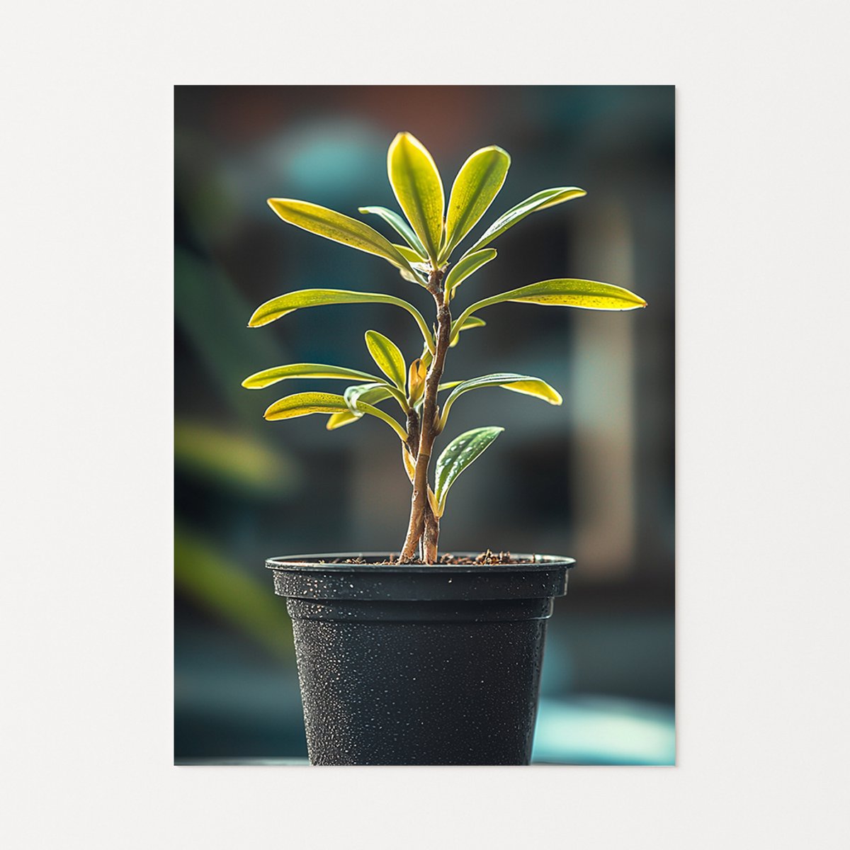 Plant muurdecoratie - Wanddecoratie modern - Poster woonkamer - 60x90 cm