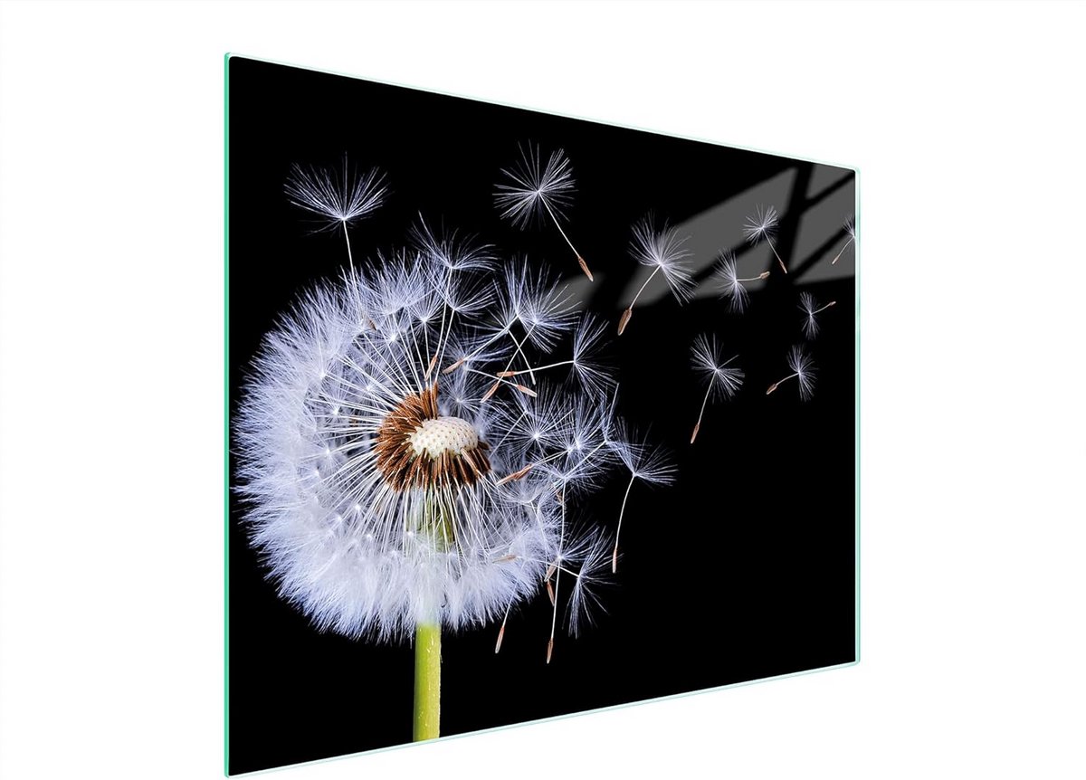 Snijplank en Hittebestendige Dekplaat van Gehard Glas (52x40 cm) - Krasvast