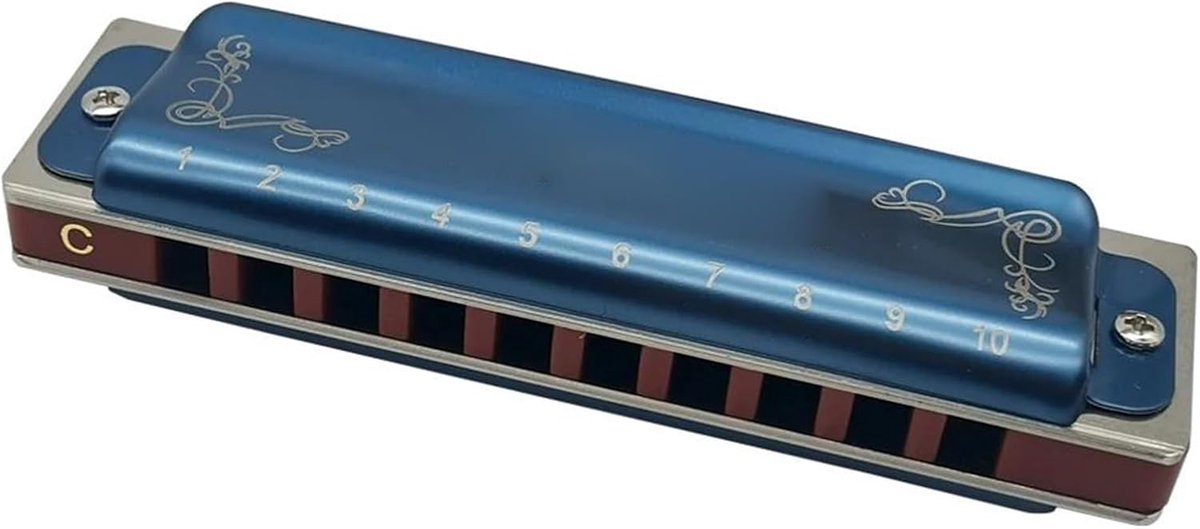 Mondharmonica Set - Blues Harmonica - Muziek Maken - Diatonisch C Toon - 10 Gaten - Blauw