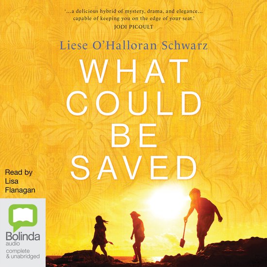 What Could Be Saved - cover