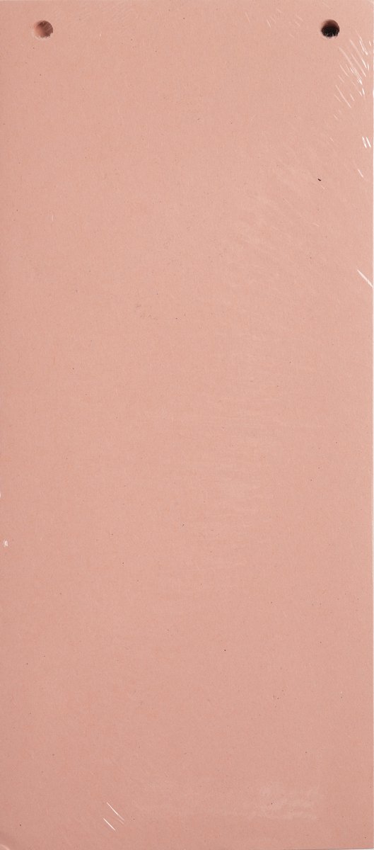 Exacompta 12x FOREVER® Pak van 100 horizontale tabstroken met perforatie 180g - 105x240mm - Roze - 13435B