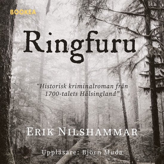 Ringfuru - cover
