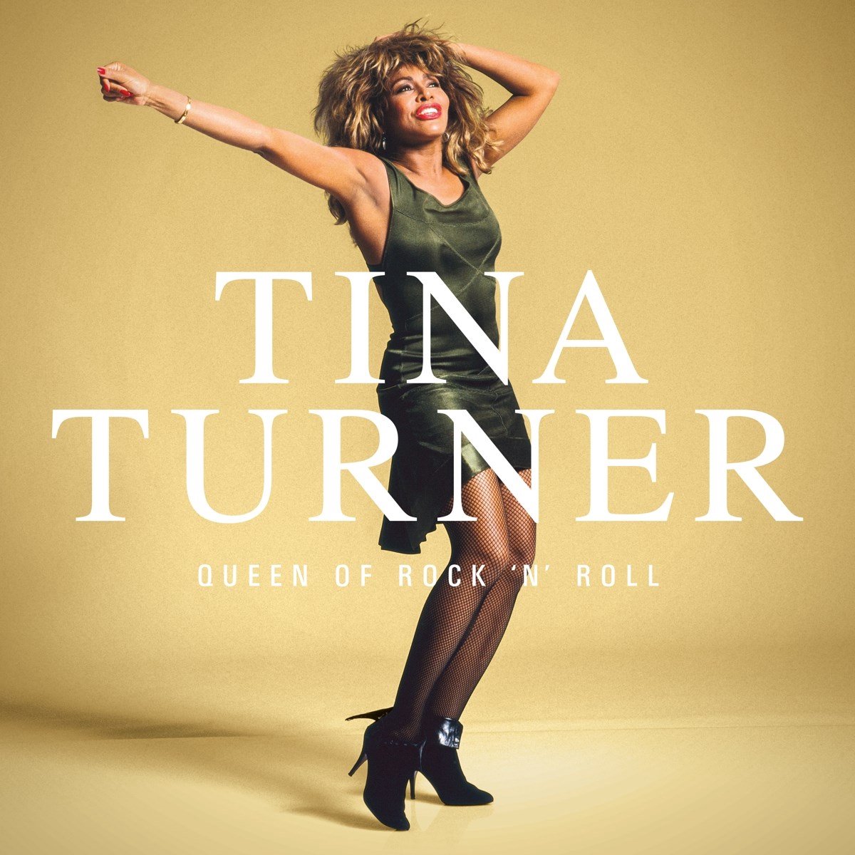 Tina Turner - Queen of Rock 'N' Roll (3Cd)