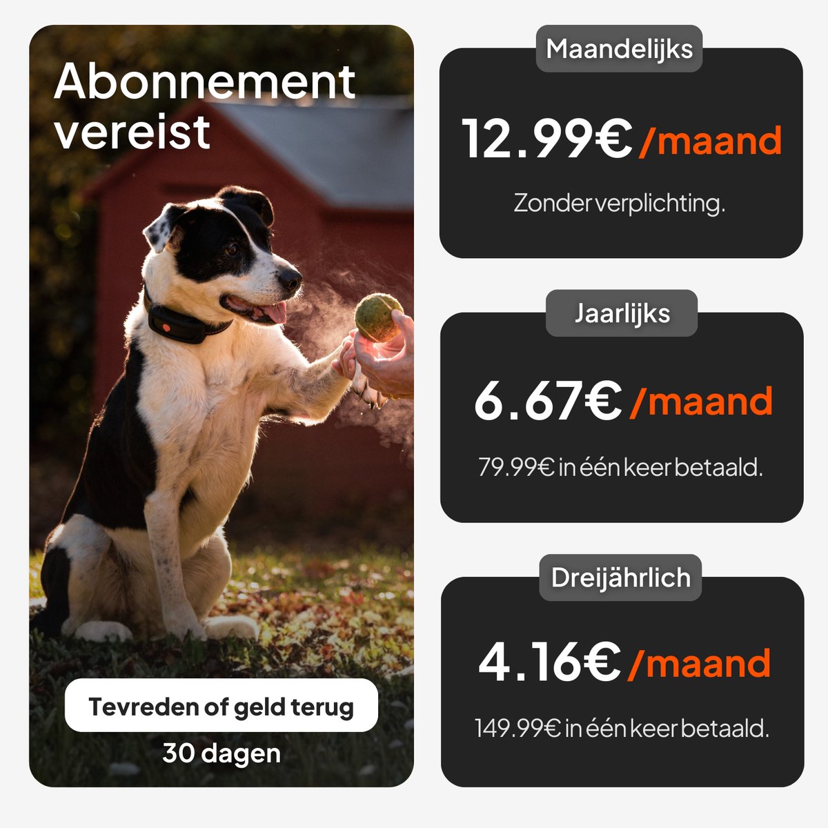 Weenect Dog XT - NIEUWE GPS-tracker voor honden zonder halsband | Waterdicht | XL-antenne | Onbeperkt bereik | Levenslange garantie | Abonnement vereist thumbnail 3