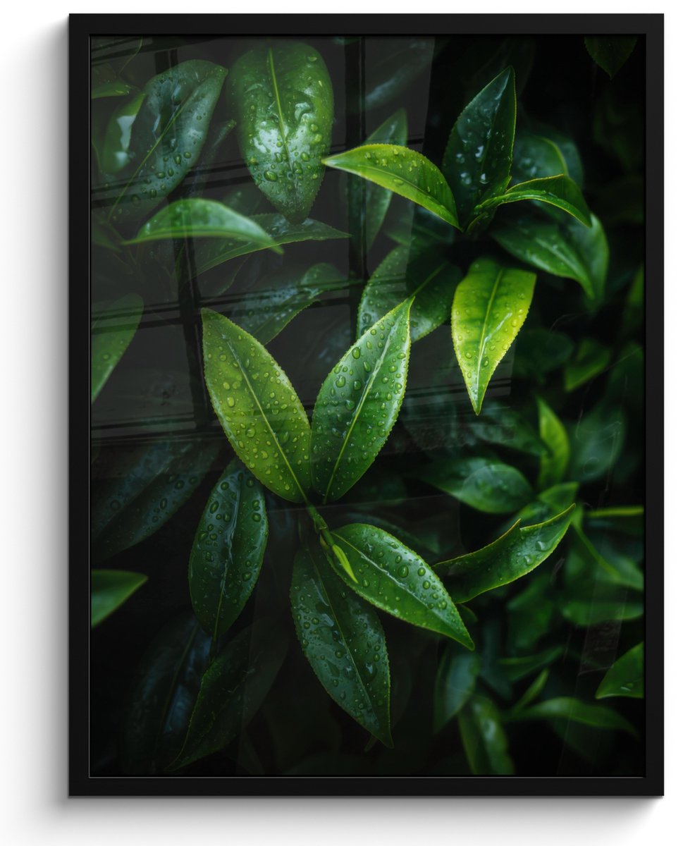 FrameYourWall Poster in lijst - Fotolijst 50x70 cm - Posters - Bladeren - Regendruppels - Licht - Groen - Posterlijst zwart - Decoratie - Wanddecoratie woonkamer - Muurdecoratie slaapkamer