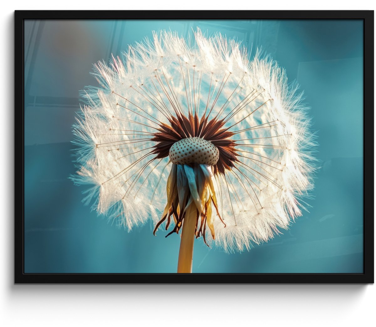FrameYourWall Poster in lijst - Fotolijst 70x50 cm - Posters - Paardenbloem - Natuur - Bloemen - Blauw - Posterlijst zwart - Decoratie - Wanddecoratie woonkamer - Muurdecoratie slaapkamer