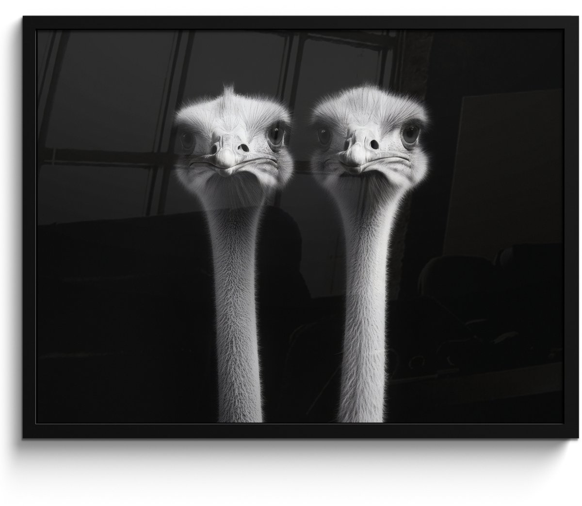 FrameYourWall Poster in lijst - Fotolijst 70x50 cm - Posters - Struisvogels - Halzen - Zwart - Minimalistisch - Posterlijst zwart - Decoratie - Wanddecoratie woonkamer - Muurdecoratie slaapkamer