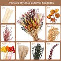 Overzicht van gedroogde bloemen: een boeket in het midden en losse onderdelen zoals pampasgras en zonnebloemen.