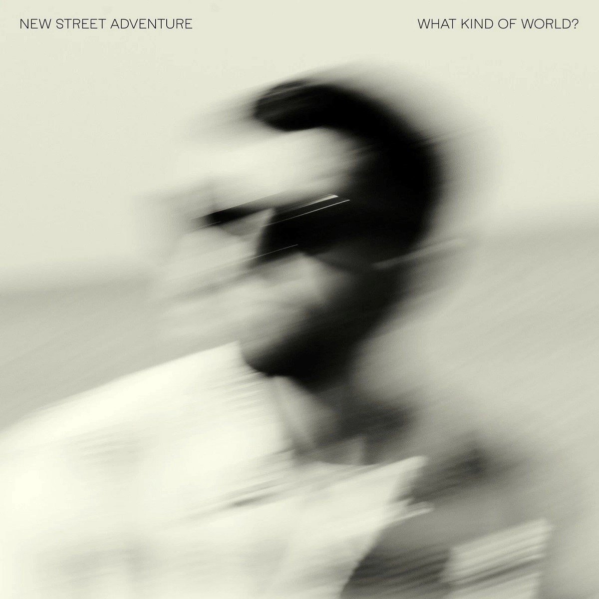 New Street Adventure Feat. Nick Cor - What Kind Of World (CD)