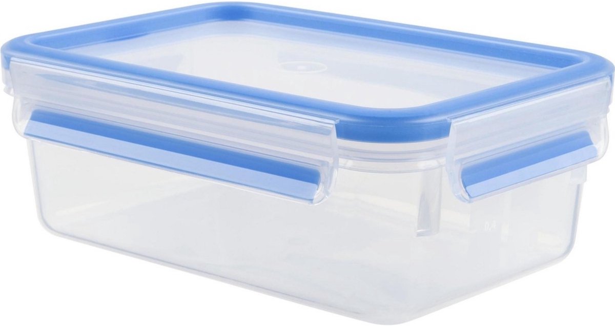 Tefal MasterSeal Fresh - Vershouddoos - 0.55L - Compact - 100% Lekvrij - BPA-vrij