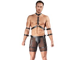 Men's Harness AND Pants XL
