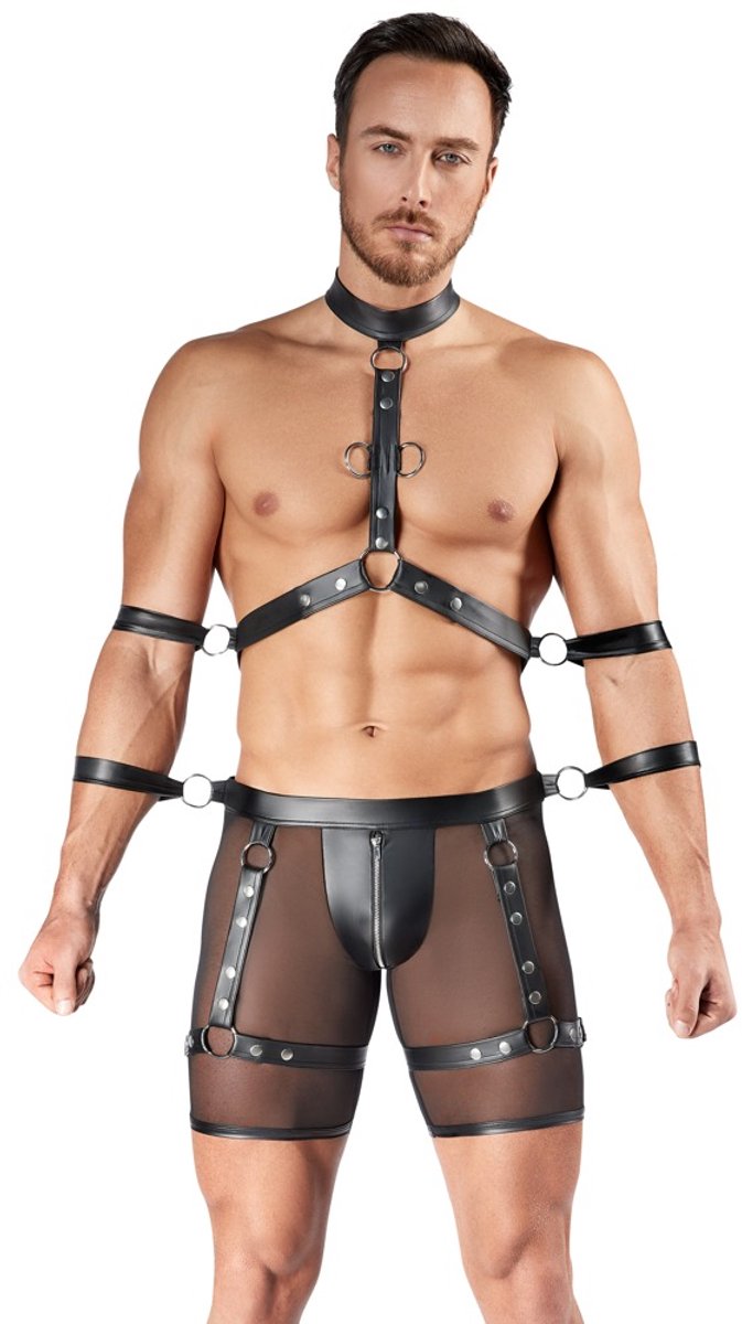 Men's Harness AND Pants XL