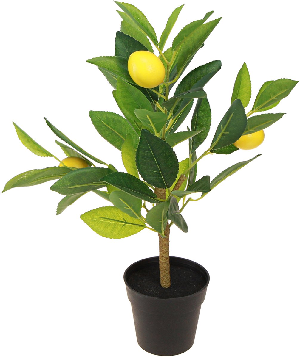 Decoratieve plant Everlands Plastic Citroenboom 17 x 24 x 43 cm