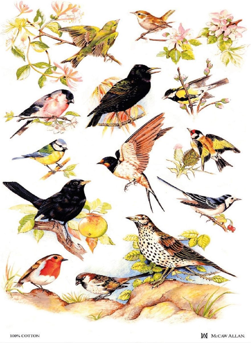 Katoene Theedoek met Britse Vogels - Wit - One Size