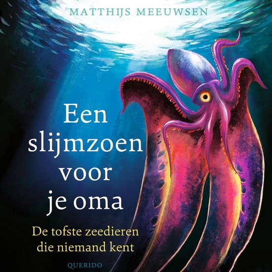 Een slijmzoen voor je oma - cover