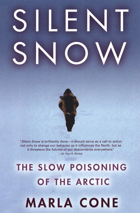 Silent Snow - cover