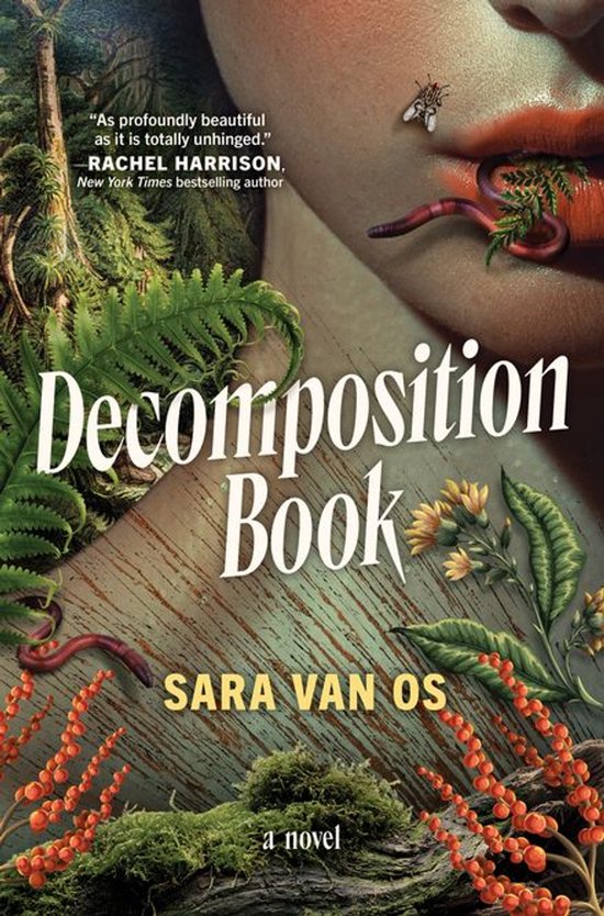 Decomposition Book - cover