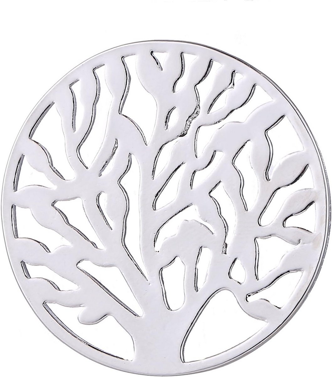 Verwisselbare Dames Amulet Coin 33 mm met Zirkonia Steen