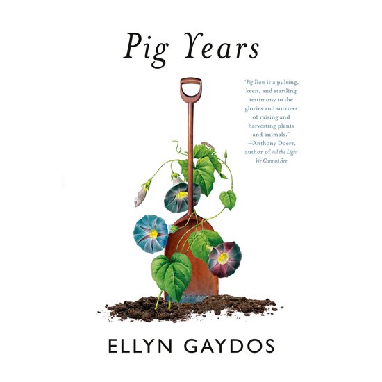 Pig Years - cover