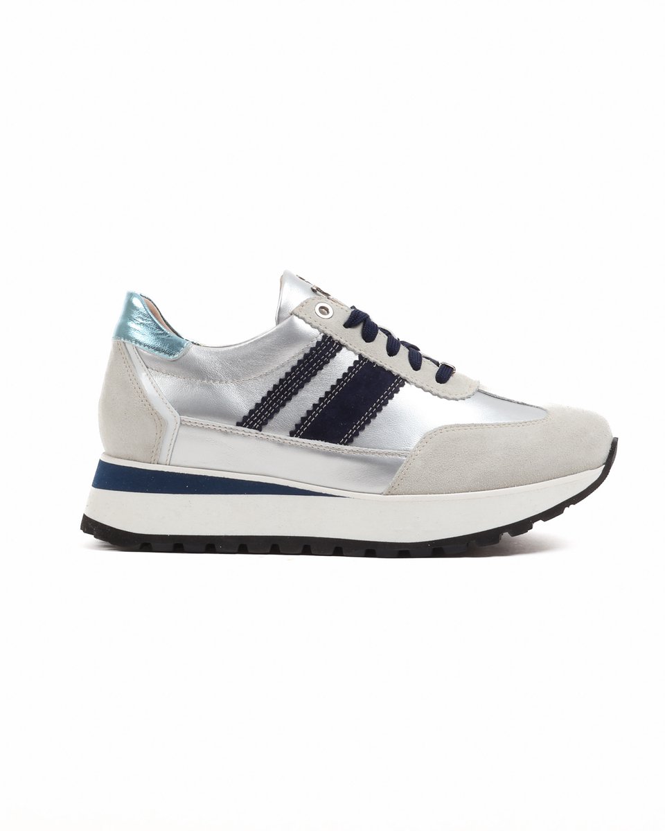 FOOTNOTES zilver