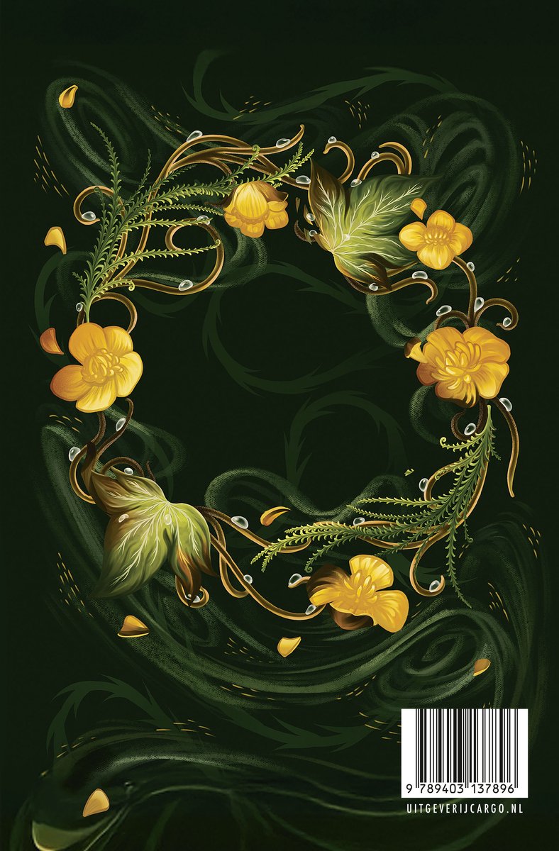 De vier winden 2 - The West Wind - back cover