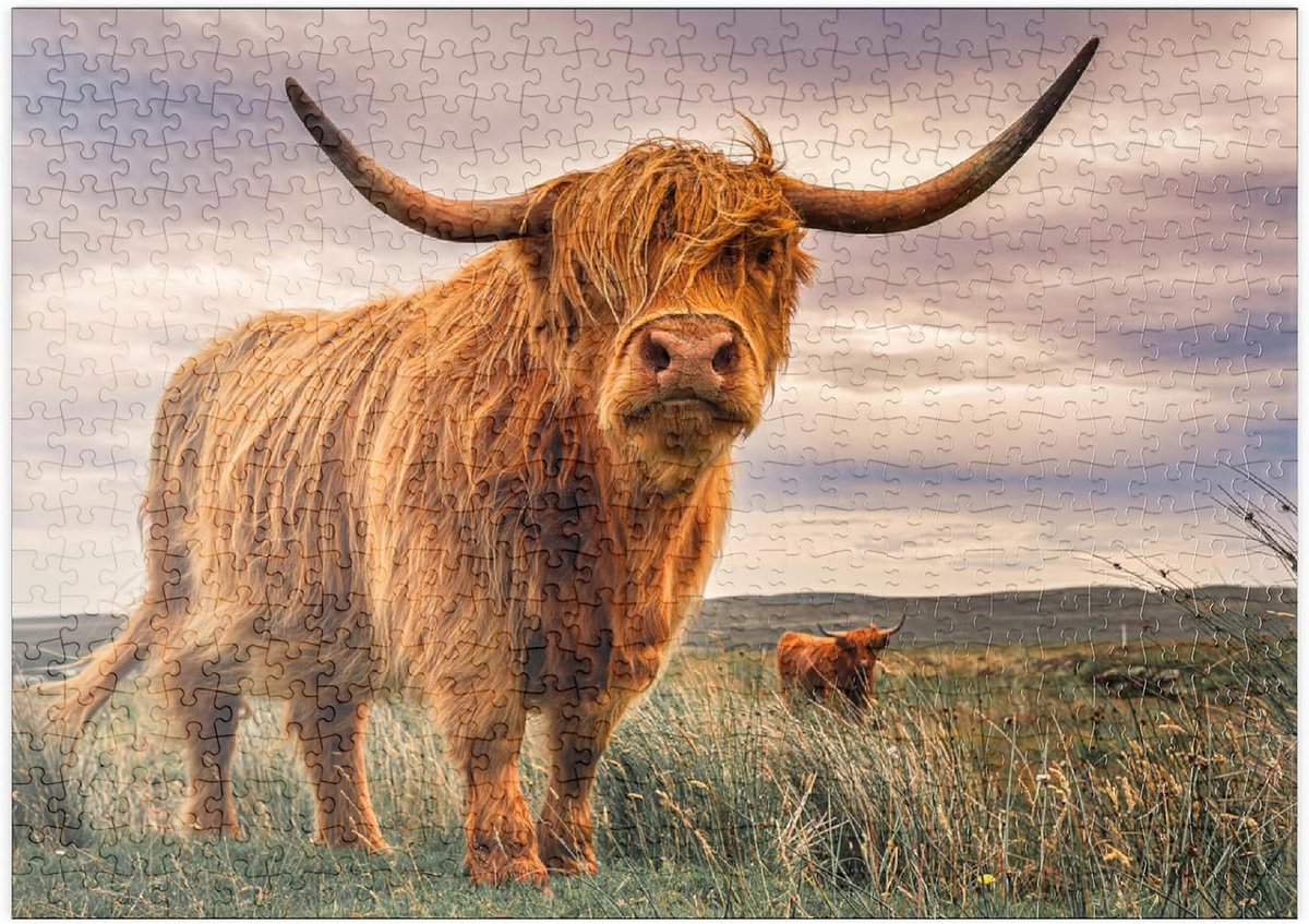 Puzzel 500 Stukjes - Landschap Puzzel - Ontspanning Thuis - Hoogwaardige Kaart - 48x34 cm - Schotse Kust