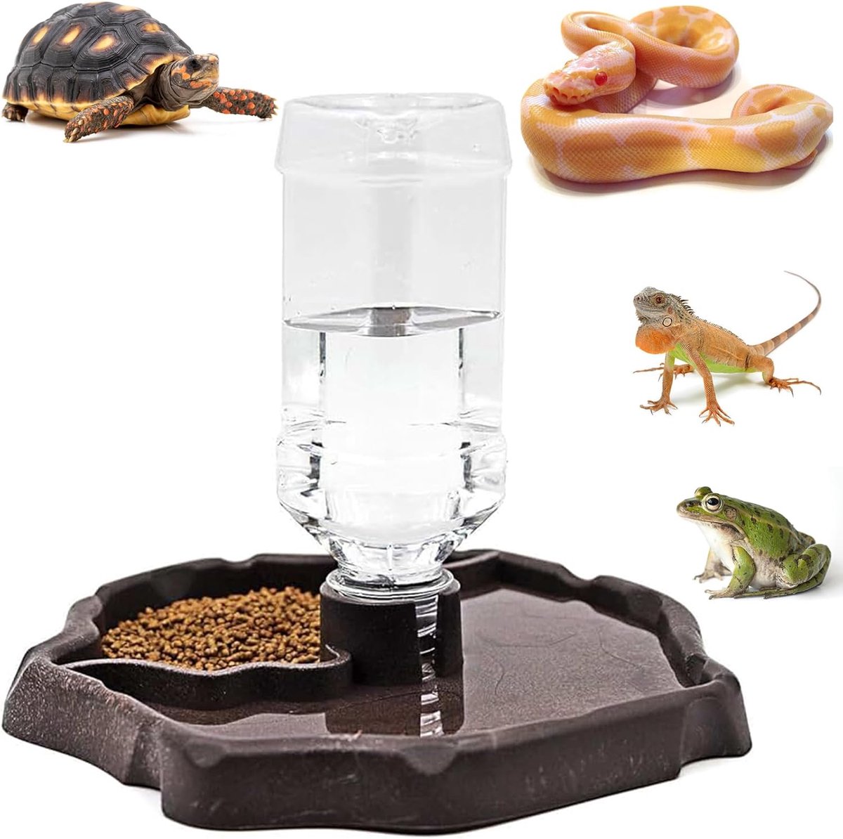 Reptielen Voederbak - Voerdispenser Water - Voeding Hydratatie - Automatische Uitvoer - 12 x 10 x 1 cm - Bruin