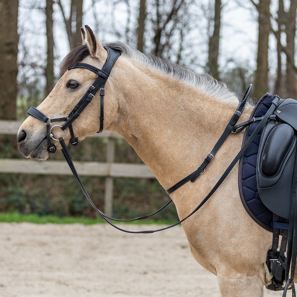 Horsegear Balance Belt Horsegear Zwart
