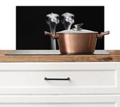Spatscherm keuken 60x30 cm - Kookplaat achterwand Struisvogels - Halzen - Zwart - Minimalistisch - Muurbeschermer - Spatwand fornuis - Hoogwaardig aluminium