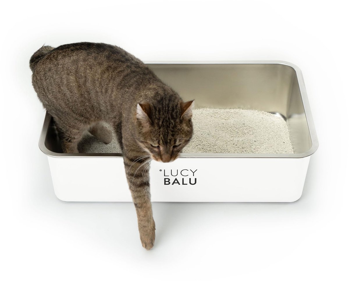 LucyBalu® roestvrijstalen geurloze kattenbak | grote roestvrijstalen kattenbak | kattenbak met open instap aan de bovenkant | hop-in kattenbak zonder deksel | kattentoilet | wit