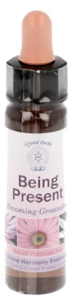 Goedkoopste 10 ml Being Present - uit Belief Patterns Essences