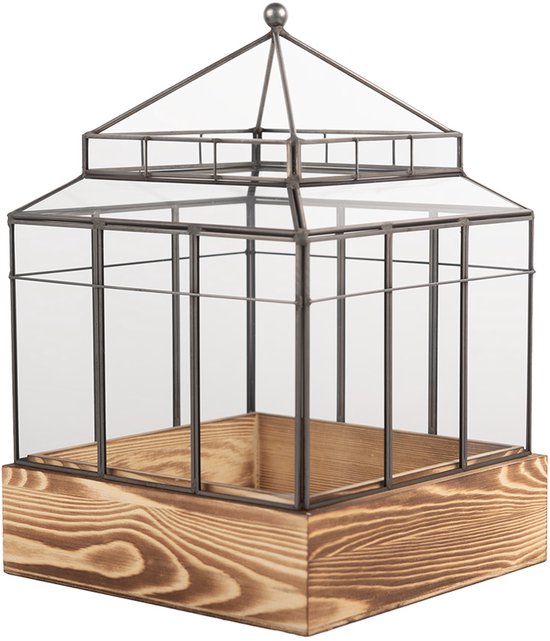 Glazen terrarium met metalen frame, houten bodem en een puntig dak.