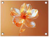 Tuinposter 40x30 cm - Tuindecoratie Glazen - Bloem - Oranje - Poster voor in de tuin - Buiten decoratie - Schutting tuinschilderij - Tuindoek muurdecoratie - Wanddecoratie balkondoek