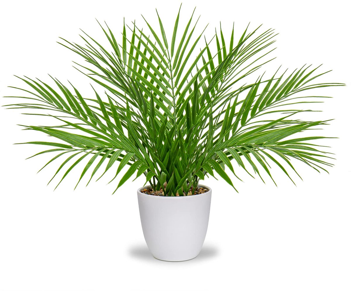 Ibenzoa Kunstmatige Palmboom in Witte Pot voor Diverse Interieurdecoratie groen
