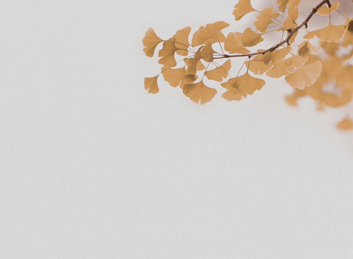 Fototapete Designwalls 2 DD123470 Ginkgo2